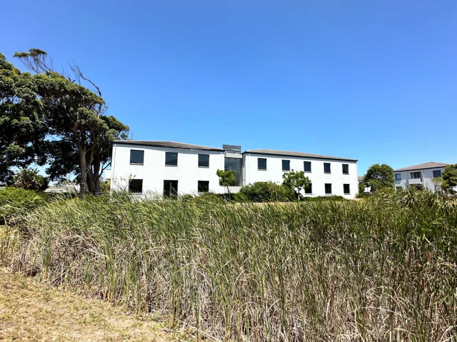 To Let 0 Bedroom Property for Rent in Kenilworth Western Cape